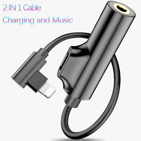 IPhone 2 In 1 Charging Cable & Headphone Adapter