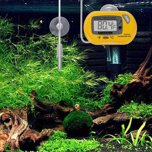 Digital Aquarium/Fridge Thermometer, Waterproof Sensor